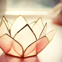 champagnelotus avatar