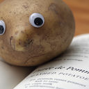 champagnewishes avatar