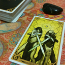 championofcoins avatar