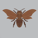 championofnyx avatar