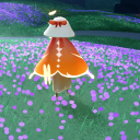 chandelles-rose avatar