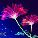 chandhuyadav37-blog avatar