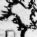 chandniamiradhanoa avatar