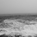 chanelanna444 avatar