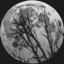 change-happens avatar