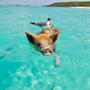 change-is-for-the-better avatar