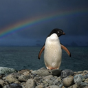 changedandfullofnothing avatar