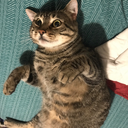 changeofheart69 avatar