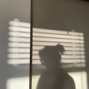 channelmyelectricity avatar