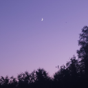 chaos-and-art-13 avatar