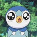 chaos-catlady avatar