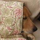 chaos9blades-blog avatar