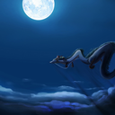 chaosandfragments avatar