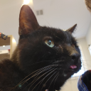 chaosbarbladin avatar