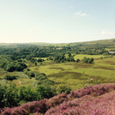 chaosconqueror-blog avatar