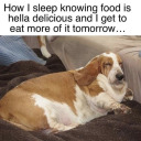 chaosfrogsonfire avatar