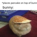 chaosshipsailor avatar