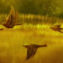 chaotic-banana-fish avatar