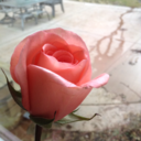 chaotic-contemplation-blog avatar