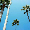 chaotic-everyday avatar