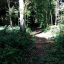 chaotic-garden-hideout avatar