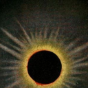 chaotic-iguana avatar