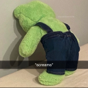 chaotic-queer-frog avatar