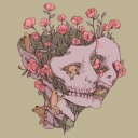 chaoticcandyshark avatar