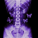 chaoticcheddar avatar