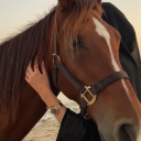 chaoticfestdefendor avatar