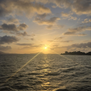 chaotichuuman avatar