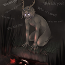 chaoticmiracleworld avatar