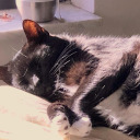 chaoticprincecloud avatar