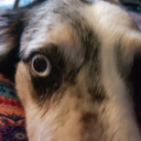 chaoticpsyche2112 avatar