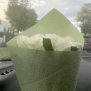 chaoticstudying avatar