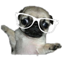 chappedlipdirtycontacts avatar