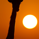 char-is-ma-blog avatar