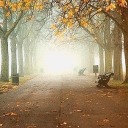 characterofstrength avatar