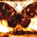 charcoocherieboard avatar