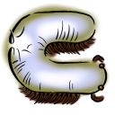 charish-cherish avatar