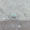 charismaenthusiast avatar