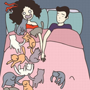 charizardismyhero avatar