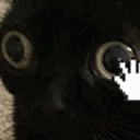 charizardreblogsstuff avatar