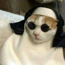 charlatanaria avatar