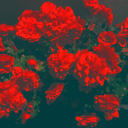 charlesprotherophotography avatar