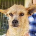 charleswilbourn avatar