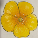 charlie-happytale avatar