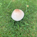 charlie-v-writing avatar