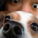 charlieasunchip avatar