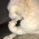 charliebabe02-blog avatar